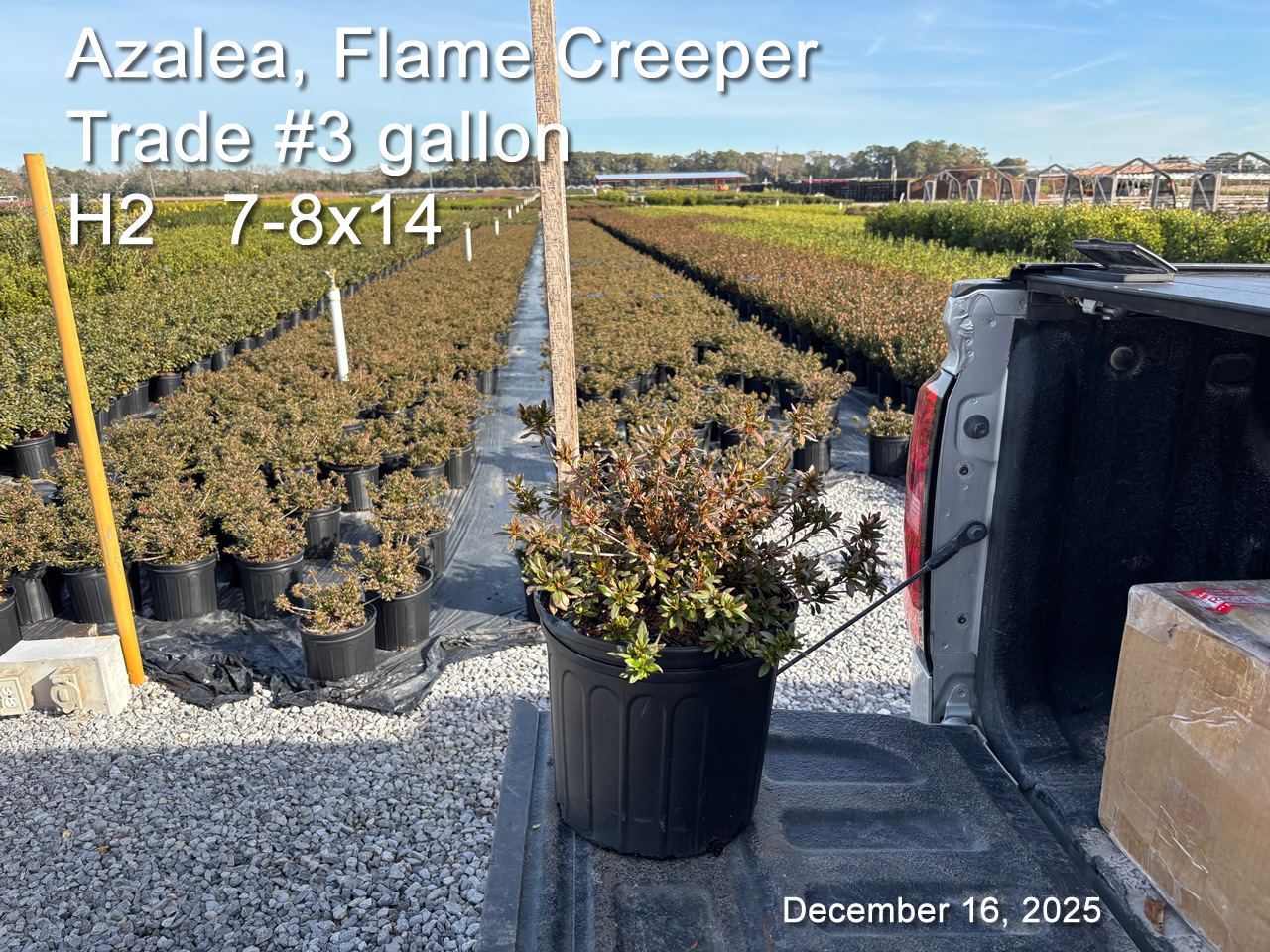 gallery/fc3t h2 dec16.jpg